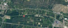 Laas: Obstwiese mit ca. 4.500 m² zu verkaufen Laas: Obstwiese mit ca. 4.500 m² zu verkaufen