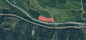 Schlanders/Göflan: Obstwiese mit ca. 5.670 m² zu verkaufen Schlanders/Göflan: Obstwiese mit ca. 5.670 m² zu verkaufen
