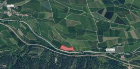 Schlanders/Göflan: Obstwiese mit ca. 5.670 m² zu verkaufen Schlanders/Göflan: Obstwiese mit ca. 5.670 m² zu verkaufen