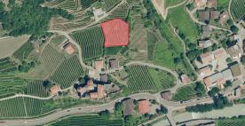 Kastelbell: Obstwiese mit ca. 1.700 m² zu verkaufen Kastelbell: Obstwiese mit ca. 1.700 m² zu verkaufen
