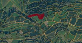 Laas / Tschengls: Birnenanger mit ca. 4.100 m² zu verkaufen Laas / Tschengls: Birnenanger mit ca. 4.100 m² zu verkaufen