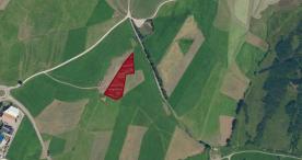 Mals / Burgeis: Landwirtschaftliches Grundstück mit ca. 4.000m² zu verkaufen Mals / Burgeis: Landwirtschaftliches Grundstück mit ca. 4.000m² zu verkaufen