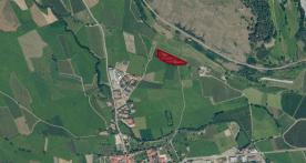 Glurns: Obstbaufähige Wiese mit ca. 7.800 m² zu verkaufen Glurns: Obstbaufähige Wiese mit ca. 7.800 m² zu verkaufen