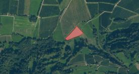 Laas / Tschengls: Obstbaufähige Wiese mit ca. 3.500 m² zu verkaufen Laas / Tschengls: Obstbaufähige Wiese mit ca. 3.500 m² zu verkaufen