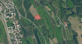 Wiese, obstbaufähig am Dorfrand von Schluderns zu verkaufen Wiese, obstbaufähig am Dorfrand von Schluderns zu verkaufen