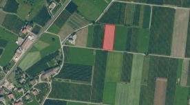 Prad am Stilfserjoch: Obstwiese mit ca. 3.600 m² zu verkaufen Prad am Stilfserjoch: Obstwiese mit ca. 3.600 m² zu verkaufen