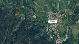 Latsch / Morter: Biozertifizierter Raut zu verkaufen Latsch / Morter: Biozertifizierter Raut zu verkaufen