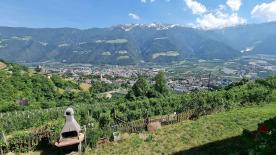 Geschlossene Höfe in Panoramalage in Naturns zu verkaufen Geschlossene Höfe in Panoramalage in Naturns zu verkaufen