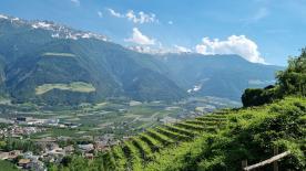 Geschlossene Höfe in Panoramalage in Naturns zu verkaufen Geschlossene Höfe in Panoramalage in Naturns zu verkaufen