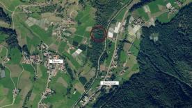 Martell - Wald in guter Lage zu verkaufen Martell - Wald in guter Lage zu verkaufen
