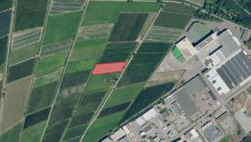 Obstwiese in Prad, nähe der Genossenschaft in sehr guter Lage zu verkaufen Obstwiese in Prad, nähe der Genossenschaft in sehr guter Lage zu verkaufen