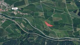 Schlanders / Göflan: Obstwiese mit ca. 3.900 m² zu verkaufen Schlanders / Göflan: Obstwiese mit ca. 3.900 m² zu verkaufen