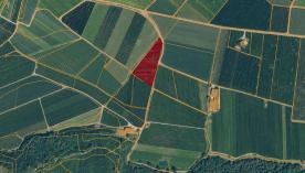 Tschars: Obstwiese mit ca. 4.500 m² zu verkaufen Tschars: Obstwiese mit ca. 4.500 m² zu verkaufen