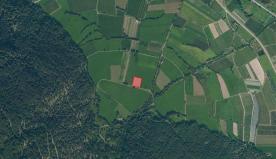 Landwirtschaftliches Grundstück mit ca. 2.900 m² bei Glurns zu verkaufen Landwirtschaftliches Grundstück mit ca. 2.900 m² bei Glurns zu verkaufen