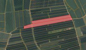 Obstwiese mit ca. 18.000 m² in Nals zu verkaufen Obstwiese mit ca. 18.000 m² in Nals zu verkaufen