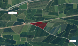 Latsch / Morter: Obstwiese mit ca. 6.600 m² zu verkaufen Latsch / Morter: Obstwiese mit ca. 6.600 m² zu verkaufen