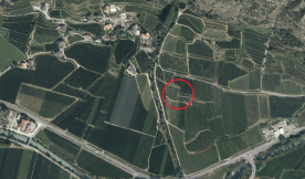 Obstwiese in Goldrain zu verkaufen Obstwiese in Goldrain zu verkaufen