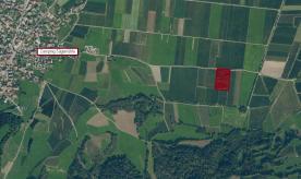 Prad am Stilfserjoch: Obstbaufähiges Grundstück mit ca. 8.800 m² zu verkaufen Prad am Stilfserjoch: Obstbaufähiges Grundstück mit ca. 8.800 m² zu verkaufen