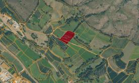 Schluderns: Landwirtschaftliches Grundstück mit ca. 3.300 m² zu verkaufen Schluderns: Landwirtschaftliches Grundstück mit ca. 3.300 m² zu verkaufen