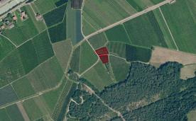 Kastelbell / Tschars: Obstwiese mit ca. 2.000 m² zu verkaufen Kastelbell / Tschars: Obstwiese mit ca. 2.000 m² zu verkaufen