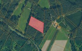 Schluderns: Auwald mit ca. 3.700 m² zu verkaufen Schluderns: Auwald mit ca. 3.700 m² zu verkaufen