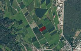 Prad am Stilfserjoch: Obstwiese mit 4.880 m² zu verkaufen Prad am Stilfserjoch: Obstwiese mit 4.880 m² zu verkaufen