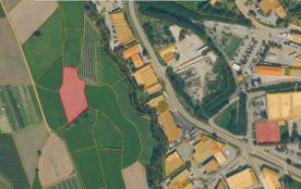 Mals: Landwirtschaftliches Grundstück mit ca. 2.570 m² zu verkaufen Mals: Landwirtschaftliches Grundstück mit ca. 2.570 m² zu verkaufen