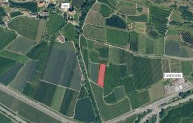 Goldenanlage in Goldrain zu verkaufen Goldenanlage in Goldrain zu verkaufen