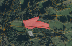 Laas / Tschengls: Landwirtschaftliches Grundstück mit ca. 6.000 m² zu verkaufen Laas / Tschengls: Landwirtschaftliches Grundstück mit ca. 6.000 m² zu verkaufen