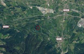 Latsch / Morter: Obstwiese mit ca. 7.400 m² zu verkaufen Latsch / Morter: Obstwiese mit ca. 7.400 m² zu verkaufen