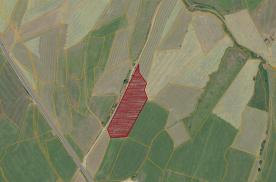 Mals / Burgeis: Landwirtschaftliches Grundstück mit ca. 5.200 m² zu verkaufen Mals / Burgeis: Landwirtschaftliches Grundstück mit ca. 5.200 m² zu verkaufen