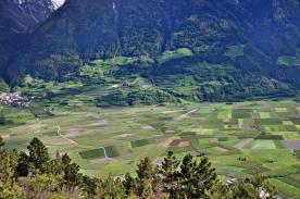 Prad am Stilfserjoch: Obstbaufähiges Grundstück mit ca. 8.800 m² zu verkaufen Prad am Stilfserjoch: Obstbaufähiges Grundstück mit ca. 8.800 m² zu verkaufen