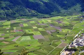 Prad am Stilfserjoch: Obstwiese mit ca. 3.600 m² zu verkaufen Prad am Stilfserjoch: Obstwiese mit ca. 3.600 m² zu verkaufen