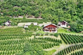 Geschlossene Höfe in Panoramalage in Naturns zu verkaufen Geschlossene Höfe in Panoramalage in Naturns zu verkaufen