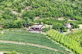 Geschlossene Höfe in Panoramalage in Naturns zu verkaufen Geschlossene Höfe in Panoramalage in Naturns zu verkaufen