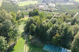 Mals / Tartsch: Landwirtschaftliches Grundstück zu verkaufen Mals / Tartsch: Landwirtschaftliches Grundstück zu verkaufen