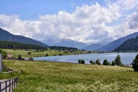 St. Valentin: Landwirtschaftliches Grundstück mit ca. 5.300 m² zu verkaufen St. Valentin: Landwirtschaftliches Grundstück mit ca. 5.300 m² zu verkaufen