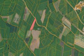 Mals: Landwirtschaftliches Grundstück mit ca. 2.600 m² zu verkaufen Mals: Landwirtschaftliches Grundstück mit ca. 2.600 m² zu verkaufen