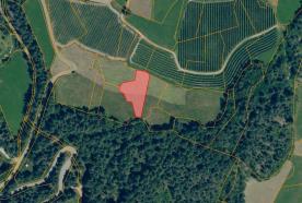 Landwirtschaftliches Grundstück in Prad am Stilfserjoch zu verkaufen Landwirtschaftliches Grundstück in Prad am Stilfserjoch zu verkaufen