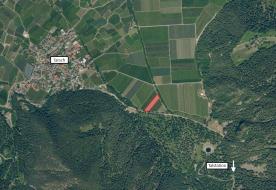 Obstwiese mit ca. 4.200 m² in Tarsch zu verkaufen Obstwiese mit ca. 4.200 m² in Tarsch zu verkaufen