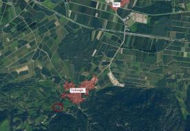 Laas / Tschengls: Obstbaufähige Wiese zu verkaufen Laas / Tschengls: Obstbaufähige Wiese zu verkaufen