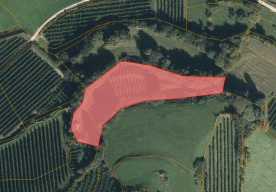 Laas / Tschengls: Landwirtschaftliches Grundstück mit ca. 3.100 m² zu verkaufen Laas / Tschengls: Landwirtschaftliches Grundstück mit ca. 3.100 m² zu verkaufen
