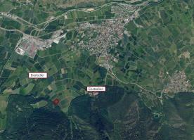 Latsch: Obstwiese mit ca. 5.600 m² zu verkaufen Latsch: Obstwiese mit ca. 5.600 m² zu verkaufen