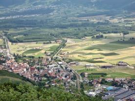 Schluderns: Auwald mit ca. 3.700 m² zu verkaufen Schluderns: Auwald mit ca. 3.700 m² zu verkaufen