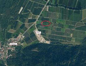 Laas/Tschengls: Obstwiese mit ca. 7.500 m² zu verkaufen Laas/Tschengls: Obstwiese mit ca. 7.500 m² zu verkaufen