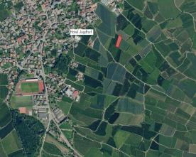 Obstwiese mit ca. 1.400 m² bei Latsch zu verkaufen