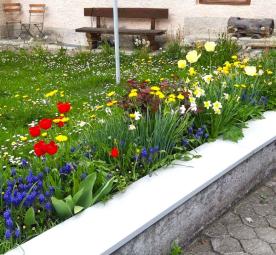 Freistehendes Wohnhaus mit Wirtschaftsgebäude in Taufers im Münstertal zu verkaufen Freistehendes Wohnhaus mit Wirtschaftsgebäude in Taufers im Münstertal zu verkaufen