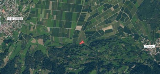 Laas / Tschengls: Obstbaufähige Wiese mit ca. 3.500 m² zu verkaufen Laas / Tschengls: Obstbaufähige Wiese mit ca. 3.500 m² zu verkaufen