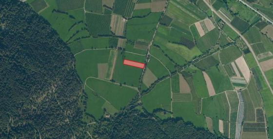 Glurns: Ackerweide mit ca. 3.800 m² zu verkaufen Glurns: Ackerweide mit ca. 3.800 m² zu verkaufen