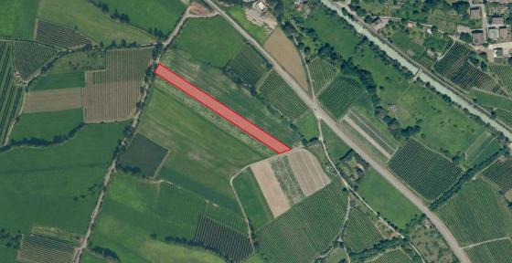 Glurns: Wiese mit ca. 3.900 m² zu verkaufen Glurns: Wiese mit ca. 3.900 m² zu verkaufen